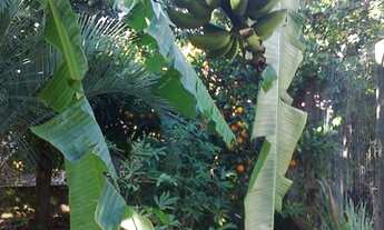 Imagem 3: Casa de lazer mobiliada no interior do Estado (Constantina/RS