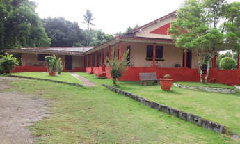 Imagem 4: Fazenda com 31hc no Cabo a 500m da BR-101