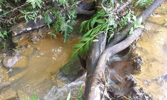 Imagem: Fazenda 8 ha, próximo ao café da Estrada