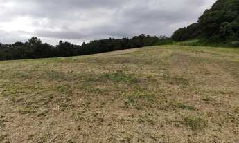 Imagem 7: CAMPO LARGO - Chácara - BOTIATUVA