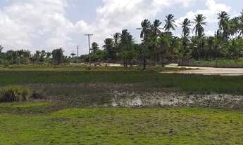 Imagem 7: Sítios em barreirinhas 5.000 mt2 parcelados