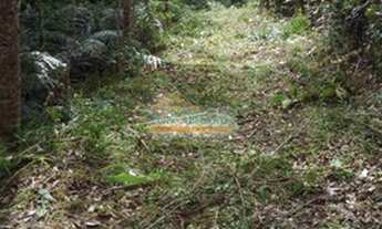 Imagem 4: ÁREA à venda com 90016.2m² por R$ 750.000,00 - CAMPO MAGRO / PR