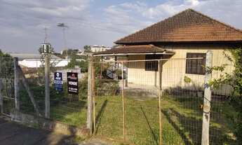 Imagem 2: NOVO HAMBURGO - Terreno Padrão - Primavera