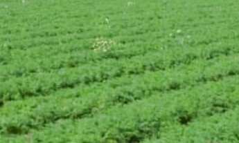 Imagem 5: Fazenda/Sítio/Chácara para venda tem 5711200 metros quadrados