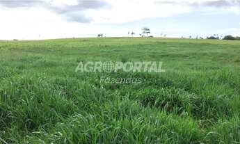 Imagem 3: Fazenda no Pará - Goianésia - 345 ha (71 alq