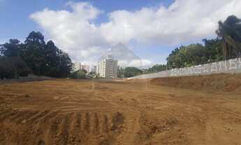 Imagem 3: área - Parque Camélias - Campinas