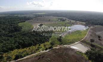 Imagem: Fazenda no Pará - Bragança - 1540 ha (318
