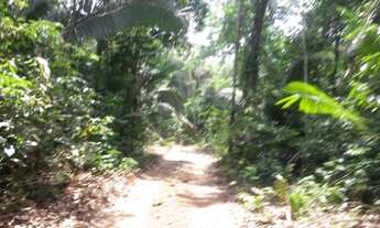 Imagem 4: Terras no Pará Fazenda / sítio com venda por R$2.000