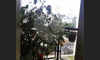 Imagem 7: Apartamento 63m²