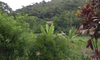 Imagem 5: Sitio Paineiras Fazenda / sítio com venda por R$1.400.000