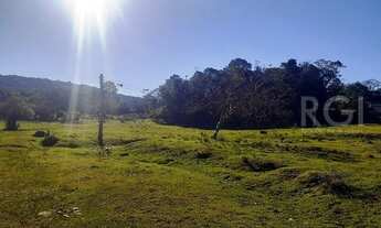 Imagem 6: Porto Alegre - Terreno Padrão - Lami