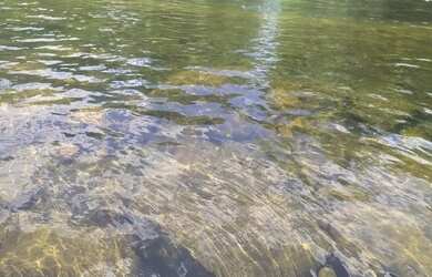 Imagem 13: Chácara Sítio Chácara com venda por R$1.290.000