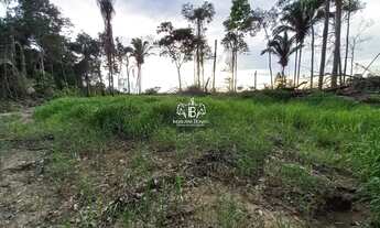 Imagem 4: Porto Velho - Sítio - BR364