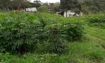 Imagem 3: Sítio a venda em Mogi das Cruzes