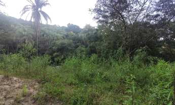 Imagem 5: Chácara Itatiaiuçu - 3.000 M²