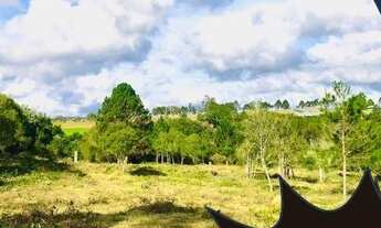 Imagem: TERRENOS DIRETO NEGOCIEI SEM BUROCRACIA