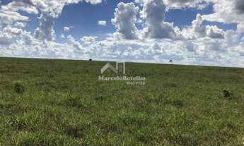 Imagem 3: Fazenda á venda município de Diamantino MT