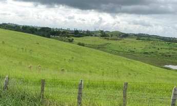 Imagem 4: Terrenos de 5.000m² disponíveis em Jacareí