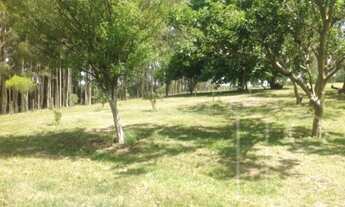 Imagem 6: Viamão - Sítio - Cocão