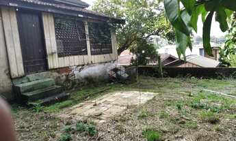 Imagem 7: NOVO HAMBURGO - Terreno Padrão - Primavera