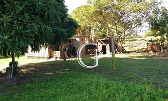 Imagem 7: Chácara com 2 dormitórios à venda, 1760 m² por R$ 170.000 - São Braz - Torres/RS