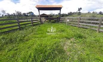 Imagem 2: Porto Velho - Sítio - BR364