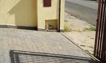 Imagem 2: Linda casa térrea no Jd Paulista