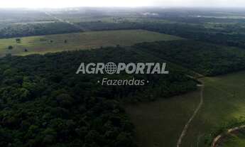 Imagem 6: Fazenda no Pará - Castanhal - 633 ha (131 alq