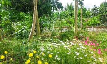 Imagem 3: Chácara em Salgado