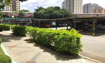 Imagem 5: São Paulo - Apartamento Padrão - Brás