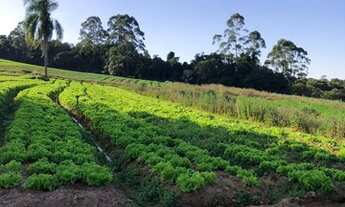 Imagem: Comece a Investir em Terrenos no Interior
