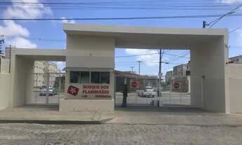 Imagem 2: Bosque dos Flamboãies