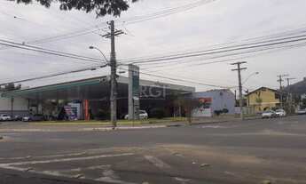 Imagem 5: Porto Alegre - Terreno Padrão - Guarujá