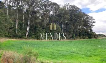 Imagem 4: CAXIAS DO SUL - Terreno Padrão - Monte Bérico