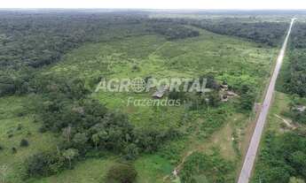 Imagem: Fazenda no Pará - Barcarena - 98 ha (20