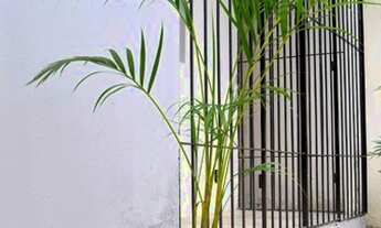 Imagem 3: JS/ Aluguel - casa em Igarassu - R$600,00