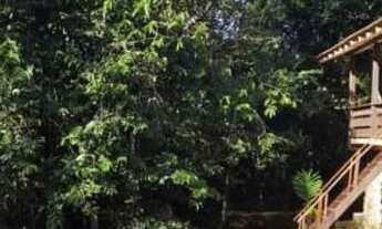 Imagem: Chácara Sítio