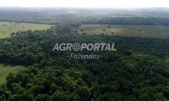 Imagem 5: Fazenda no Pará - Castanhal - 633 ha (131 alq