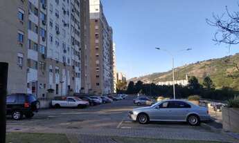 Imagem 4: Porto Alegre - Apartamento Padrão - Jardim Carvalho