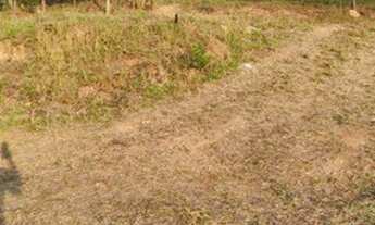 Imagem 2: Venha ver a paisagem maravilhosa - proximo a mairiporã