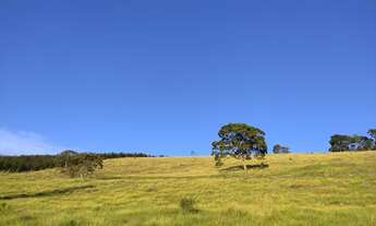 Imagem 4: Vende-se terreno em Nazaré paulista 1000m² por 40 mil reais avista ou 50% de entrada mais