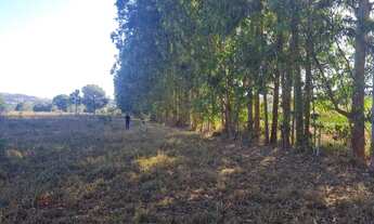 Imagem 7: Chácaras em Goiânira 4 km de estrada de chão