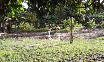 Imagem 5: Chácara com 2 dormitórios à venda, 1760 m² por R$ 170.000 - São Braz - Torres/RS