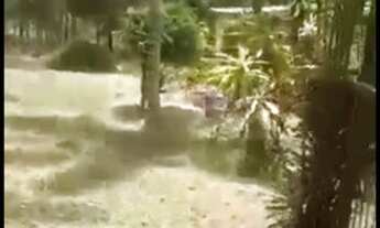 Imagem: Vende-se Chácara em Pardinho/SP