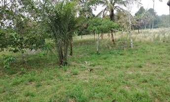 Imagem 6: Vende se sítio no rio preto da Eva