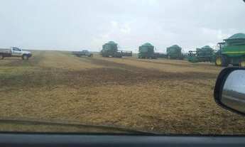 Imagem 3: Fazenda a venda em Confresa - MT