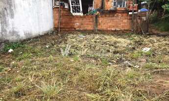 Imagem 5: Campinas - Terreno Padrao - Parque Aeroporto