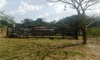 Imagem 3: Fazenda 10 hectares jardim ABC