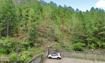 Imagem 2: Porto Alegre - Apartamento Padrão - Nonoai