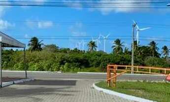 Imagem 4: Loteamento Gold Pecem Pronto Para Construir A Sua Casa Venha Para Esse Paraiso Com Parcela